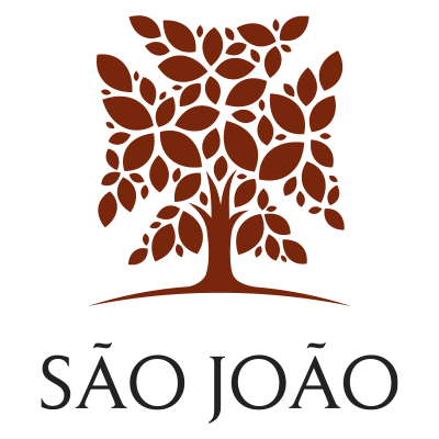 Hospital de São João